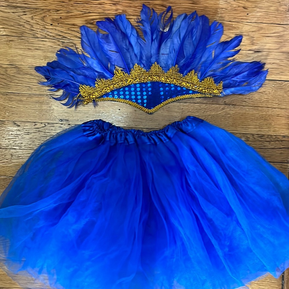 electric blue carnival outfit